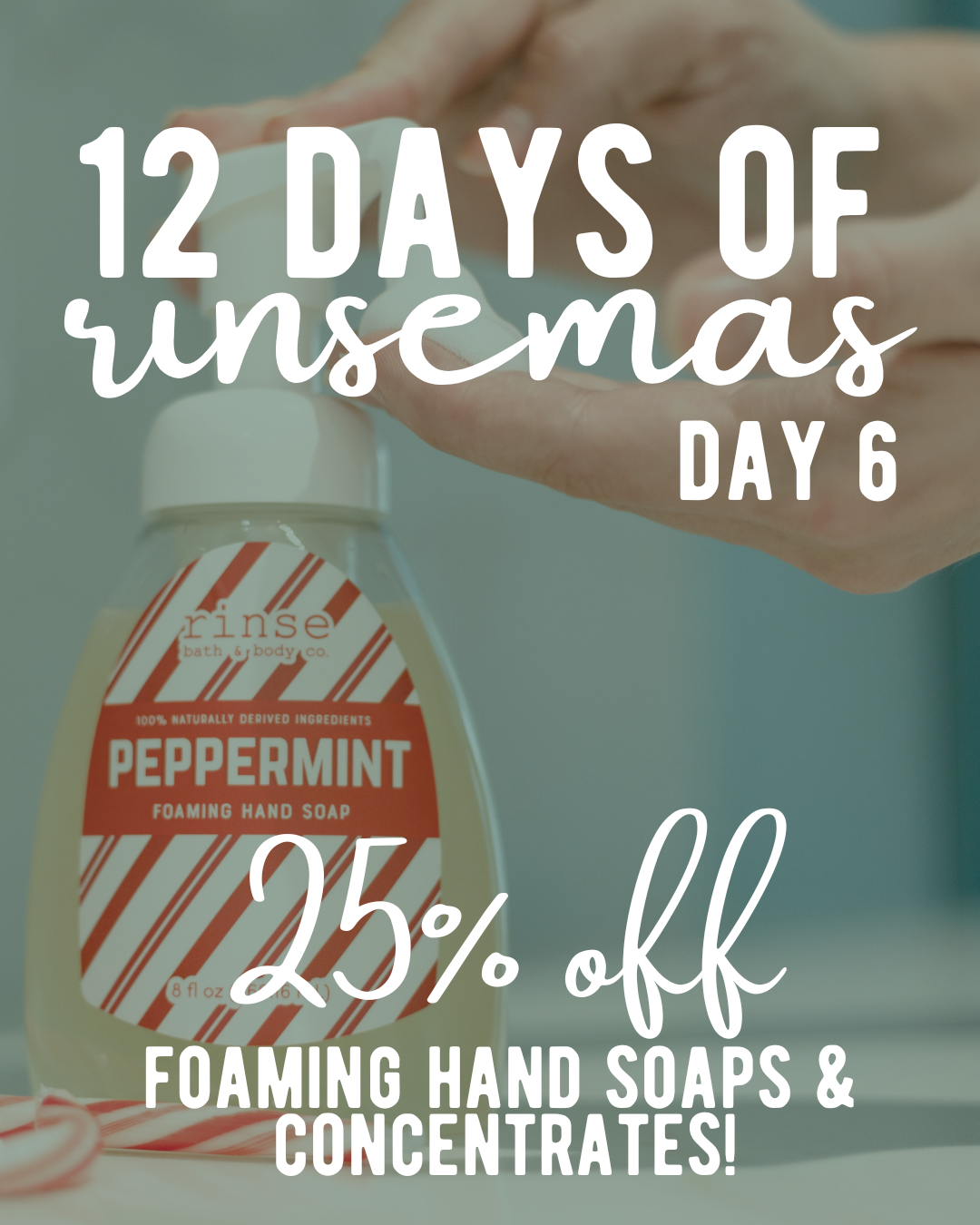 Day 6: Foaming Hand Soaps