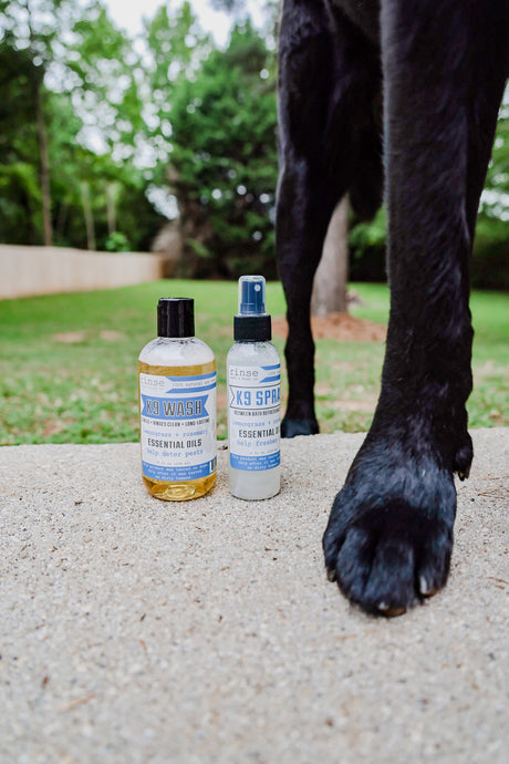 Natural Dog Spray (K9 Refreshing Spray) — lifestyle
