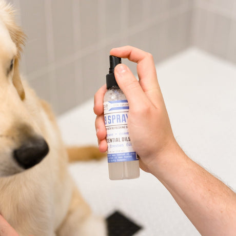 Rinse Refreshing Spray natural pet grooming product - gentle on pet skin - alternate angle