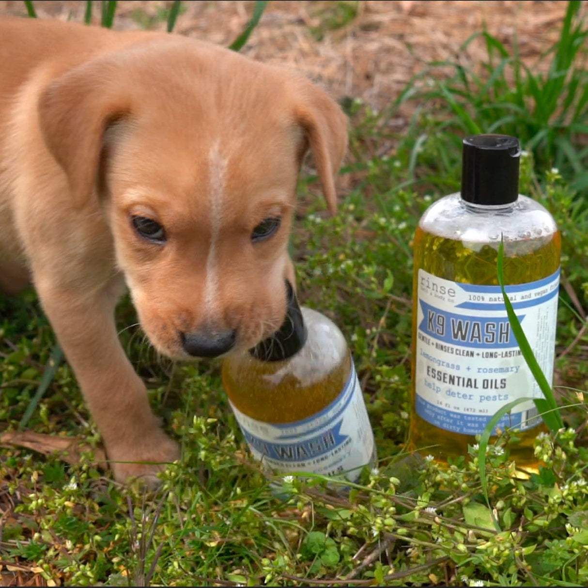 Handmade 16oz natural pet grooming product - naturally derived - alternate angle