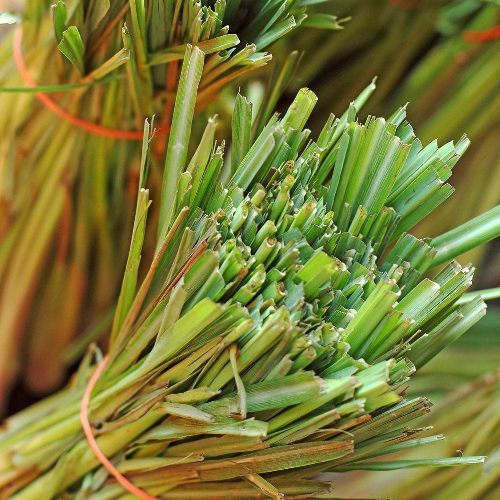 Lemongrass Essential oil