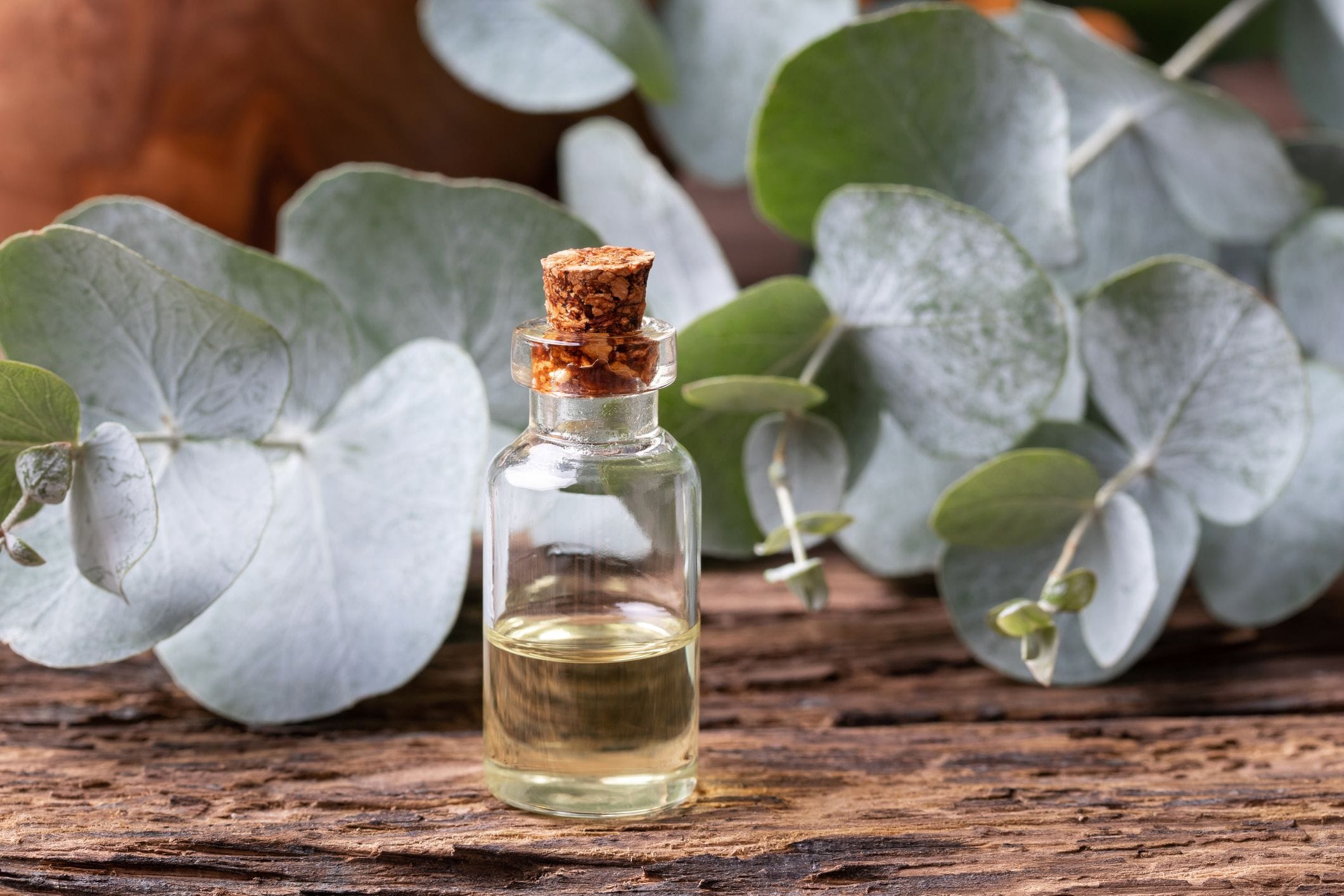 Eucalyptus Essential oil