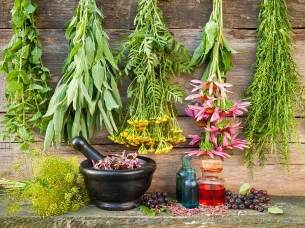 Natural Additives