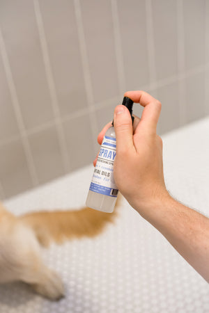Natural Dog Spray (K9 Refreshing Spray) — in-use