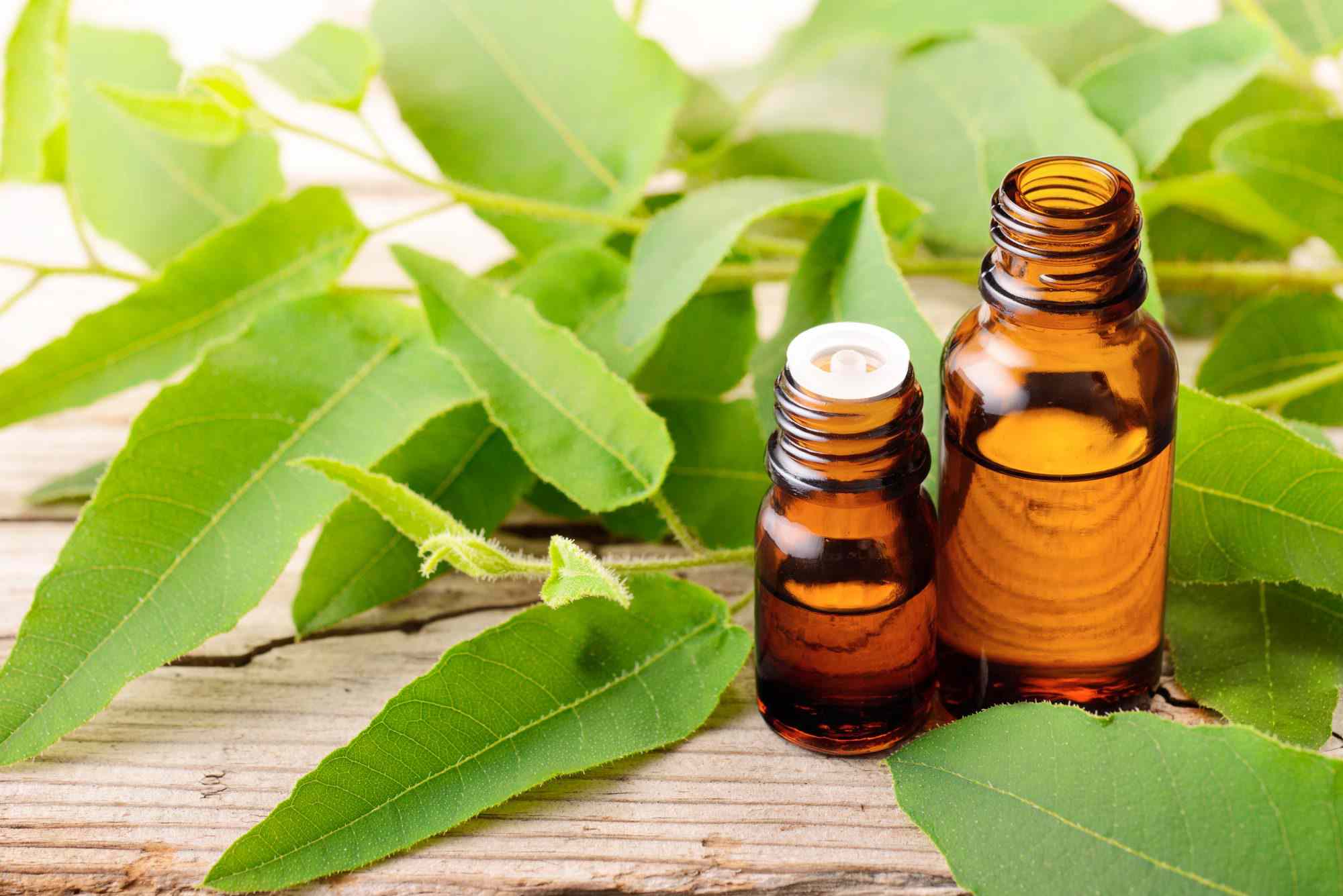 Lemon Eucalyptus Essential Oil