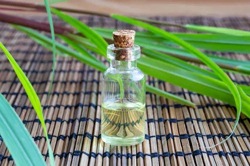 Palmarosa Essential Oil